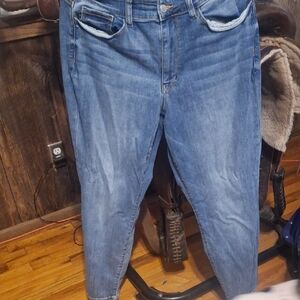 Judy BLUE Slim Fit 14W. Women's Straight Leg Jeans - Blue